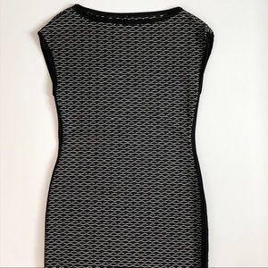 Max Studio Bodycon Dress